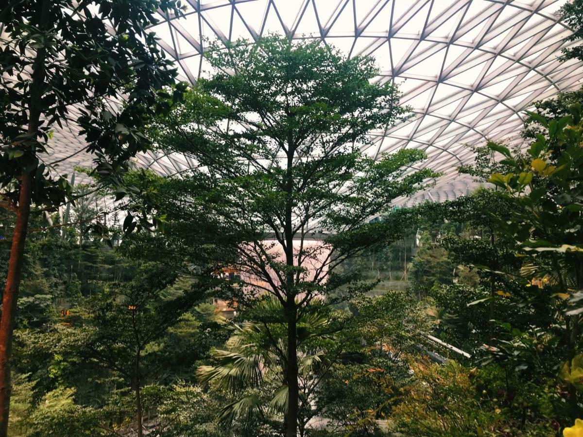 Yotelair Singapore Changi Airport Landside Exteriér fotografie